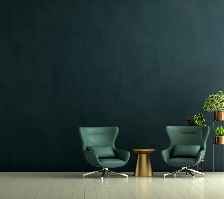 Premium Emulsion Paint Interior: Birla Opus Prime